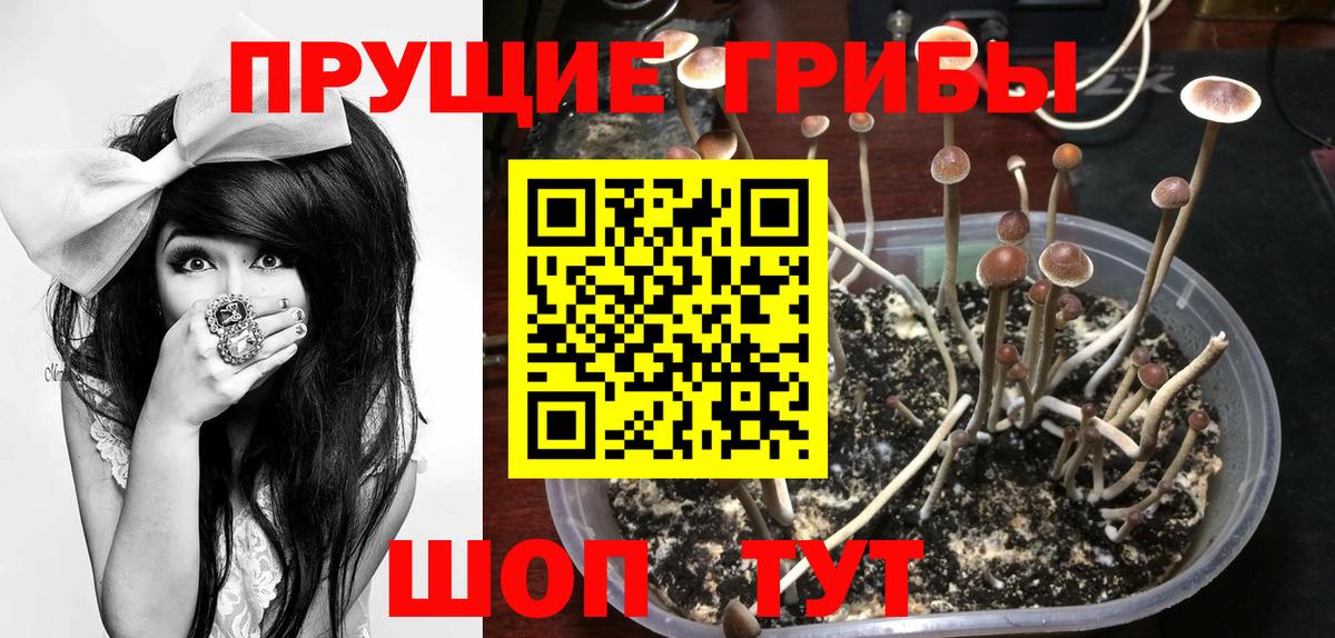 Псилоцибиновые грибы ЛСД  Вход с VPN  Избербаш 