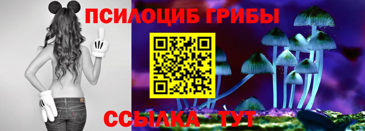 Псилоцибиновые грибы мухоморы Избербаш